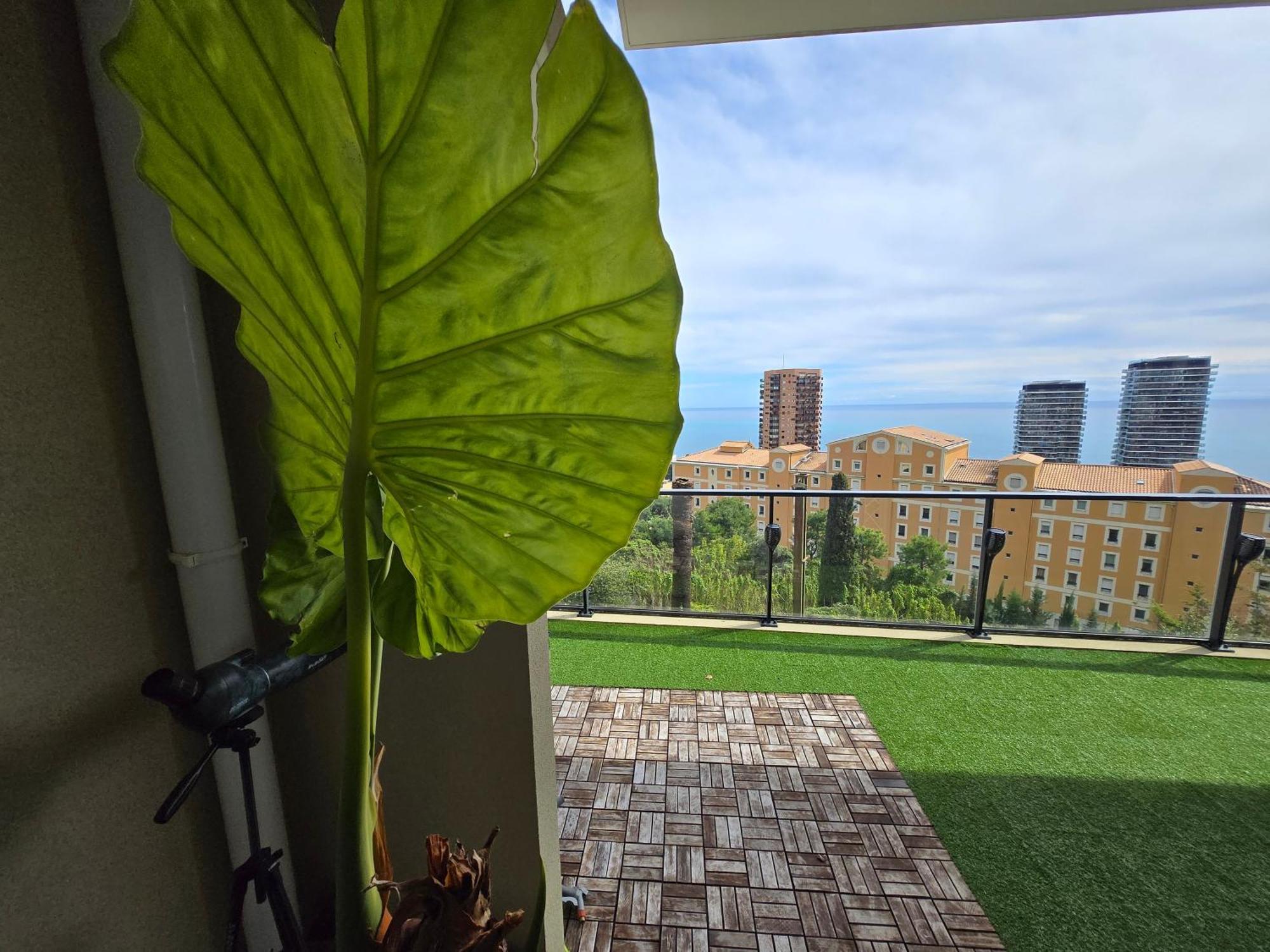 Apartamento Monaco view, pool, garage, 100 m2 terrace Beausoleil Exterior foto